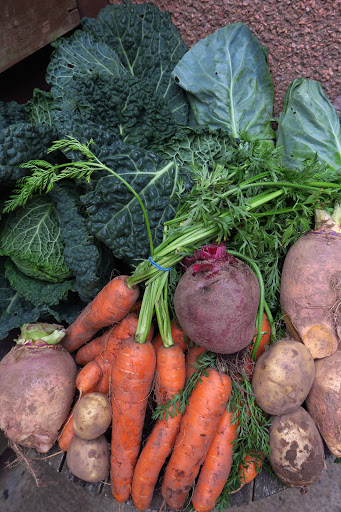 Carnoustie Farm Shop - Thumbnail