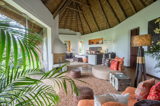 The Safari Collection by null