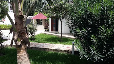 Photos of Banana lodge