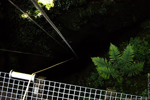 Photo n°10 de Activités Spéléo à l'Aven d'Orgnac à Orgnac-l'Aven (Centre de sports d'aventure)