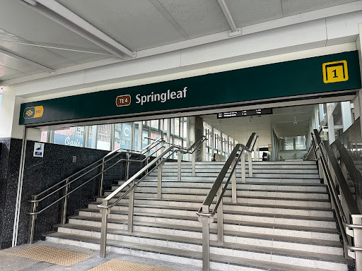 Springleaf - Visual