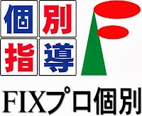フィックスプロ個別