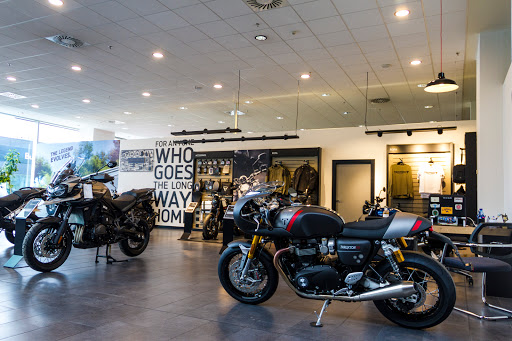 Triumph Burgos - Visual
