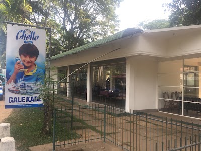 Photos of Gale Kade