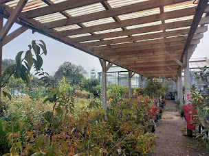 Photo n°19 de GAMM VERT à Lillebonne (Pépinière)