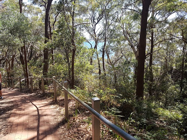 Tomaree Head Summit walk