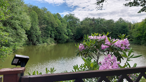 Zum Grünen See Eck - Thumbnail