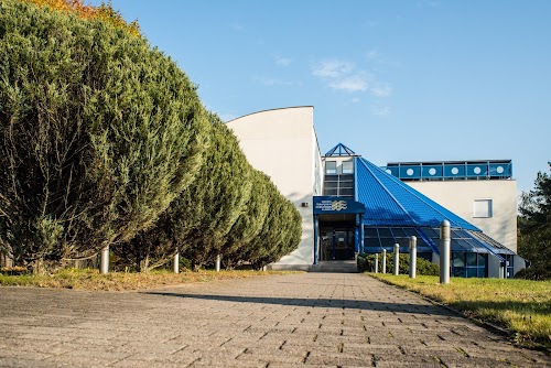 Grožio