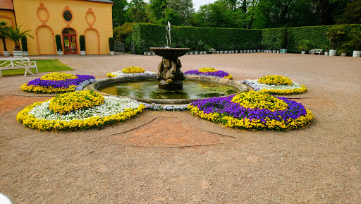 Orangerie Belvedere - Visual
