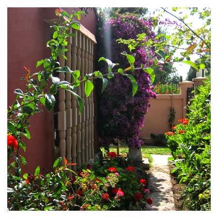 Hostal El Arbol