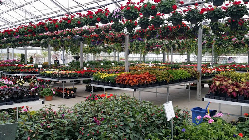 Abrahamson Nurseries - Visual