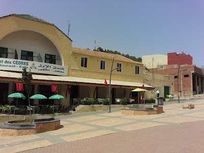 Photos of H&ocirc;tel des C&egrave;dres