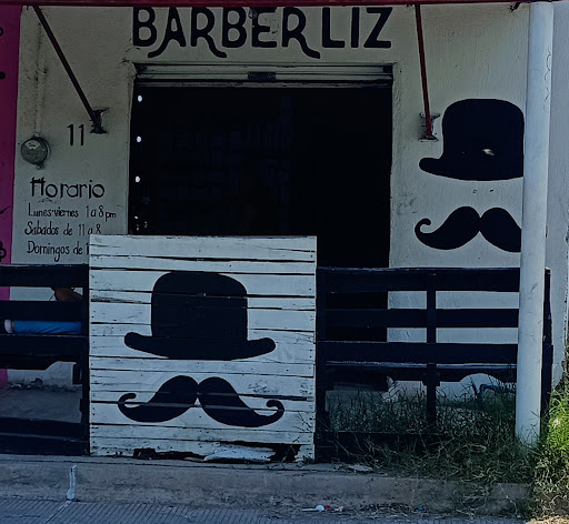 BABER LIZ