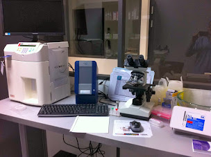 Photo n°6 de Clinique Vétérinaire Vetwish Dr Bonnevial Ève et Dr Tessier Laura à La Seyne-sur-Mer (Vétérinaire)