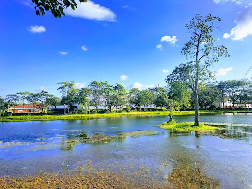 Parque Tabasco 'Dora María' - Thumbnail