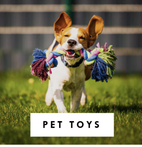 Pawmaila - Thumbnail