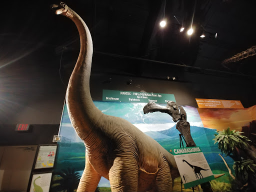 Naranjo Museum-Natural History - Thumbnail
