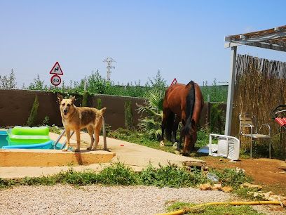 Residencia canina Valencia CENCAVAL.