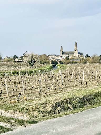 Domaine de la Salpetrière