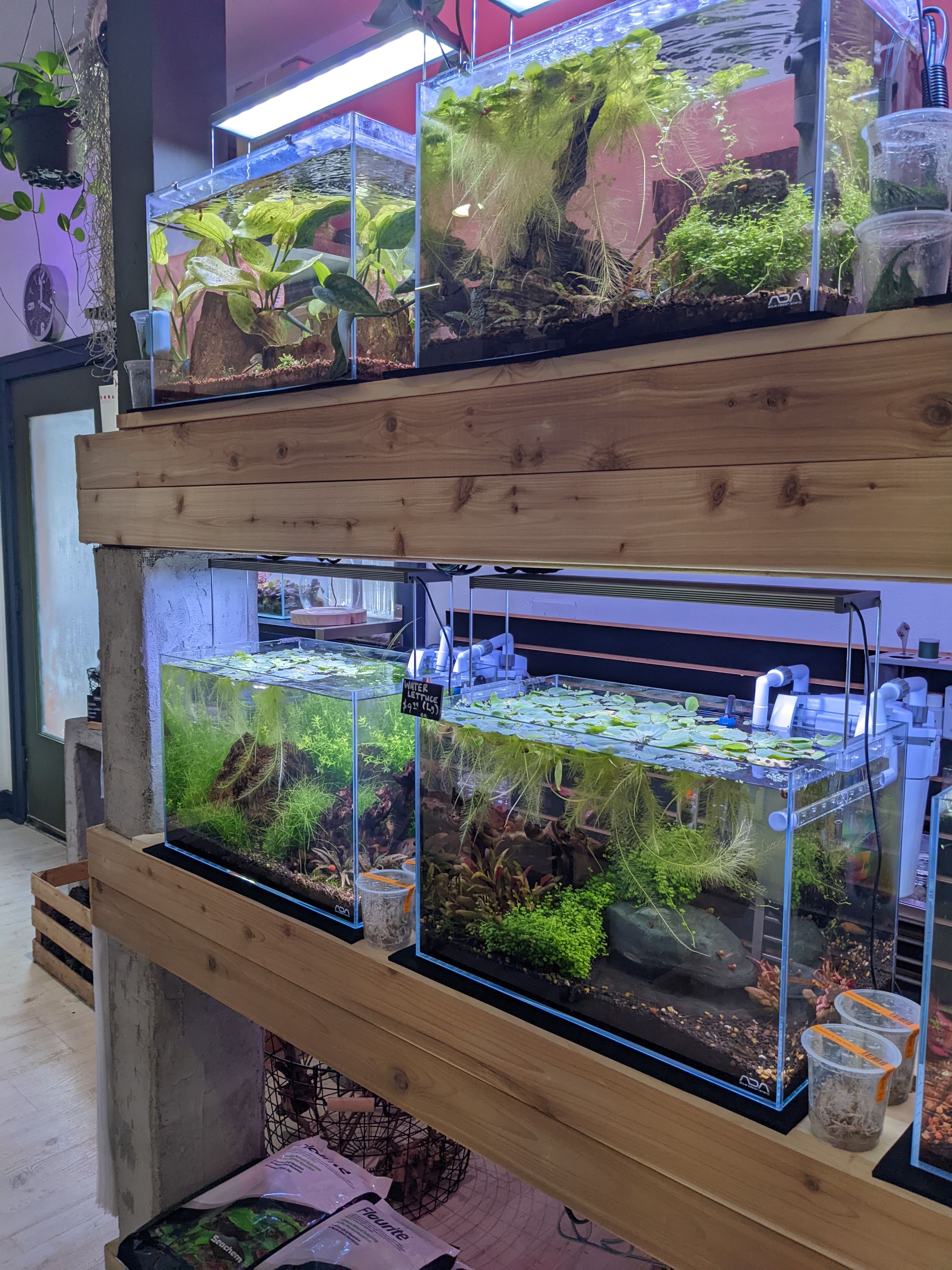 The Arium Shop