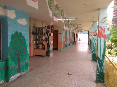 Photos of Nablus School