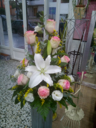 Javiflor - Visual