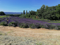 Avignon VTC à Avignon