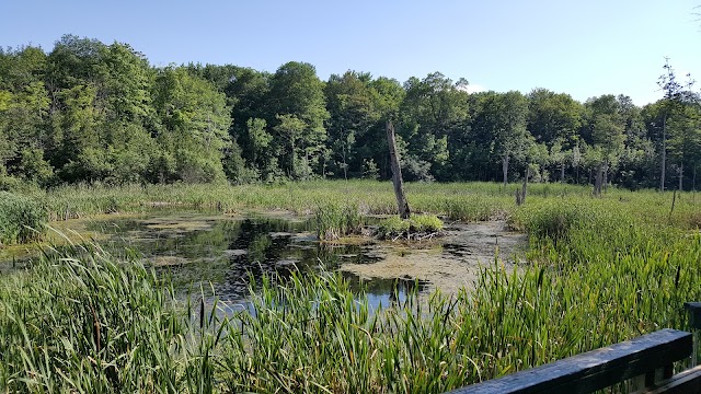 Parc-nature du Bois-de-l'Île-Bizard