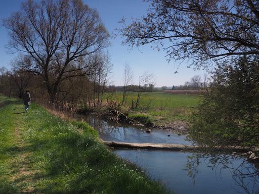 Scheelhecke - Visual