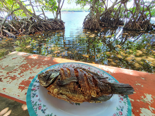 Palapa doña mari