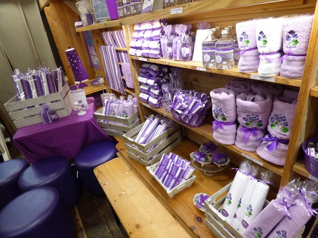 La Maison de la Violette