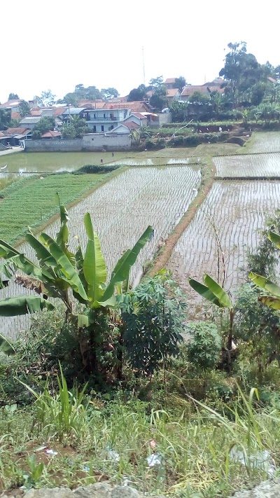 Photos of Greensouv