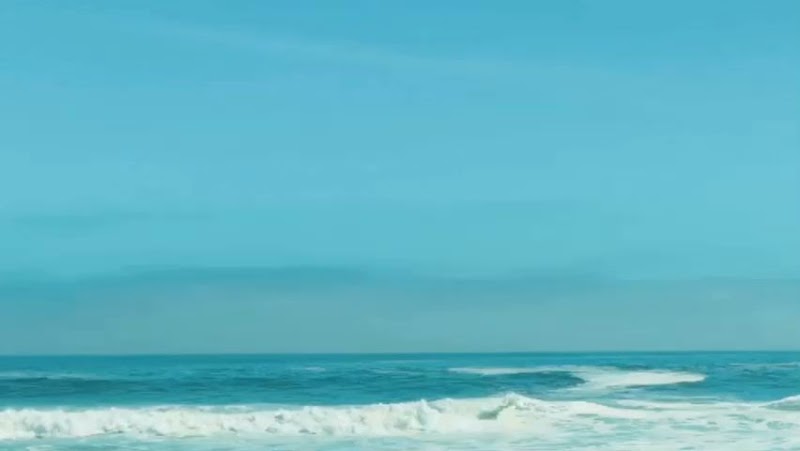 とんかつ新宿さぼてん 鷺ノ宮駅北口店