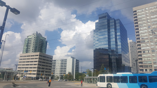 Bishop Ave - Thumbnail