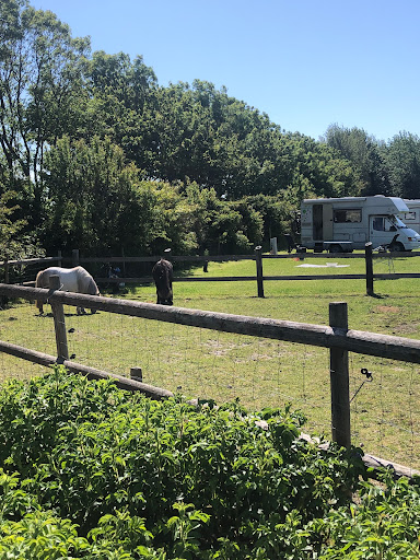Wohnmobilstellplatz Kuhles Camping Gallery - Germany