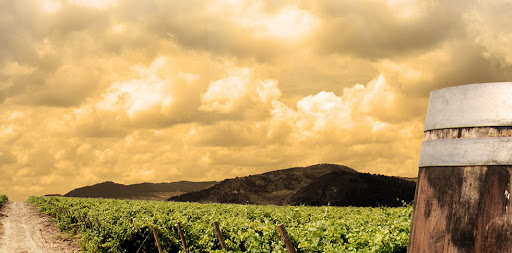 Osoyoos Wine Tours