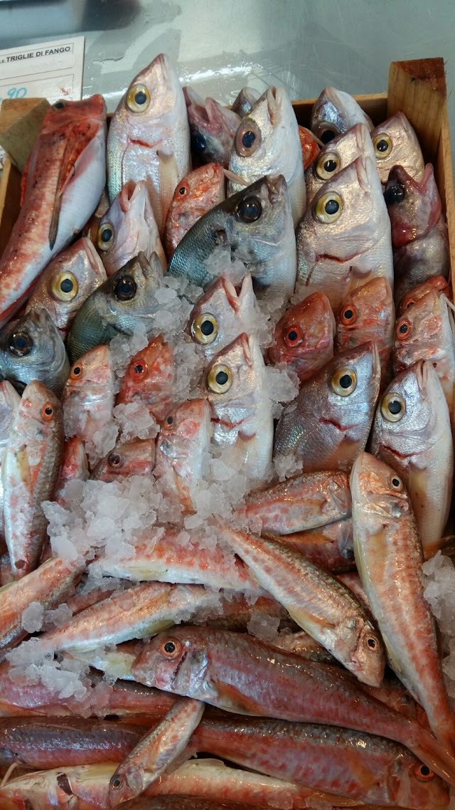 Pescheria La Lampara