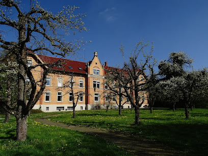 Fortis e.V. - ABV-Stelle Süd