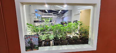 Photo of Portal 503 - Portal Cannabis Dispensary