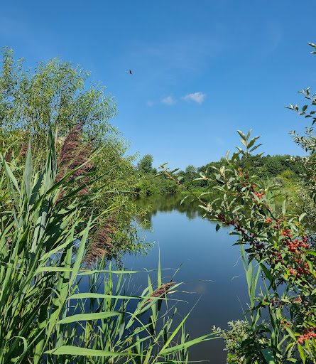 Brook Wildlife Area - Thumbnail