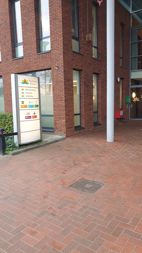 Municipality Hollands Kroon Gallery - Netherlands