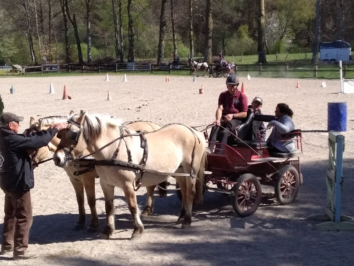 Equestrian Center D'égletons Corrèze - Thumbnail