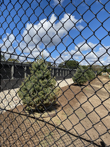 Raintree Storage - Visual