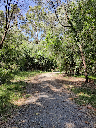 Coombabah Lakelands Conservation Area (Arundel section)