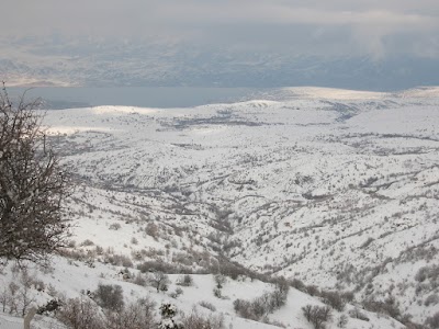 Photos of buzluk tesisleri