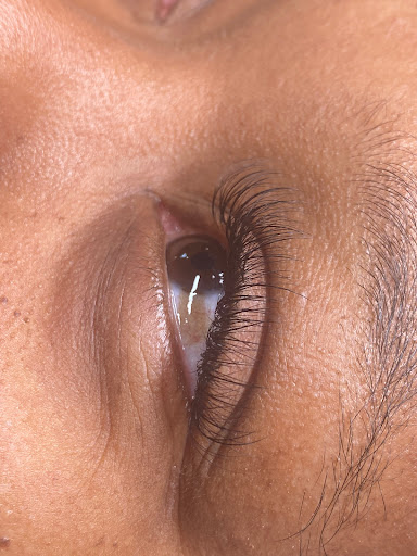 Literally Lashed - Visual