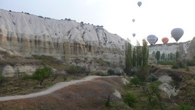 Photos of rose valley