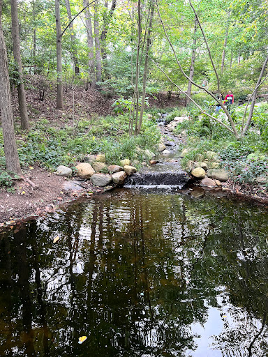 The Labyrinth at Avalon Nature Preserve - Thumbnail