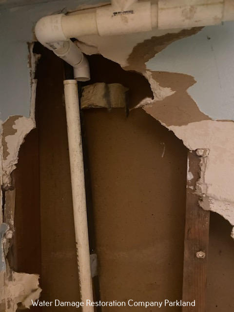 All Dry Services of Parkland photo