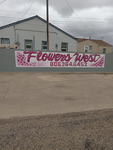 Flowers West - Visual
